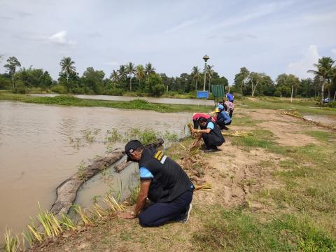 โครงการปลูกหญ้าแฝกเฉลิมพระเกียรติ ประจำปี 2565