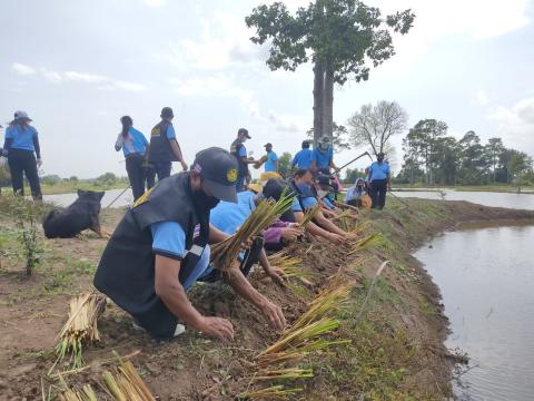 โครงการปลูกหญ้าแฝกเฉลิมพระเกียรติ ประจำปี 2565