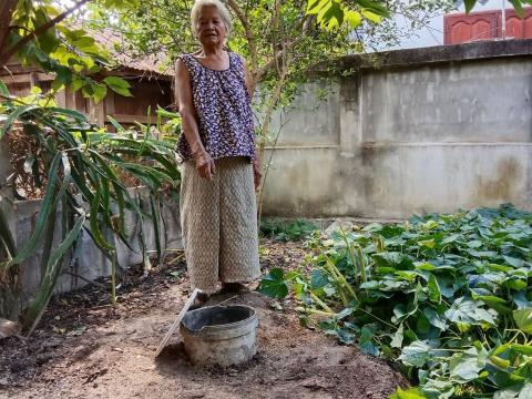 โครงการถังขยะเปียก ลดโลกร้อน