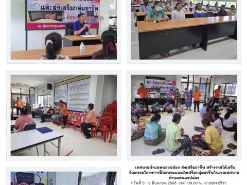 โครงการฝึกอบรมและส่งเสริมกลุ่มอาชีพในเขตเทศบาลตำบลหนองปล่อง