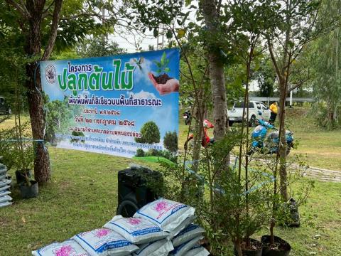โครงการปลูกต้นไม้เพื่อเพิ่มพื้นที่สีเขียว ปี 2568