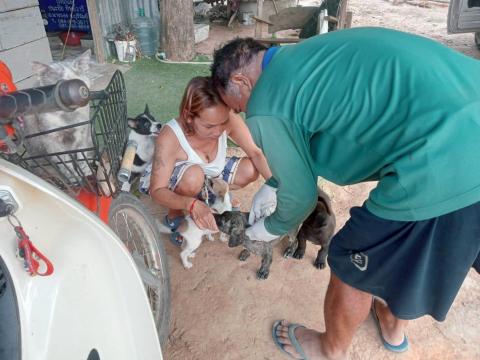โครงการรณรงค์ป้องกันโรคพิษสุนัขบ้า ประจำปี พ.ศ.2569 ภายใต้โครงการสัตว์ปลอดโรค คนปลอดภัยจากโรคพิษสุนัขบ้า ตามพระปณิธานศาสตราจารย์ ดร.สมเด็จพระเจ้าน้องนางเธอ เจ้าฟ้าฯกรมพระศรีสวางควัฒน วรขัติยราชนารี