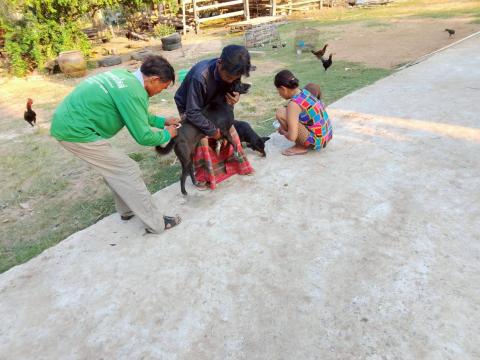 โครงการรณรงค์ป้องกันโรคพิษสุนัขบ้า ประจำปี พ.ศ.2569 ภายใต้โครงการสัตว์ปลอดโรค คนปลอดภัยจากโรคพิษสุนัขบ้า ตามพระปณิธานศาสตราจารย์ ดร.สมเด็จพระเจ้าน้องนางเธอ เจ้าฟ้าฯกรมพระศรีสวางควัฒน วรขัติยราชนารี